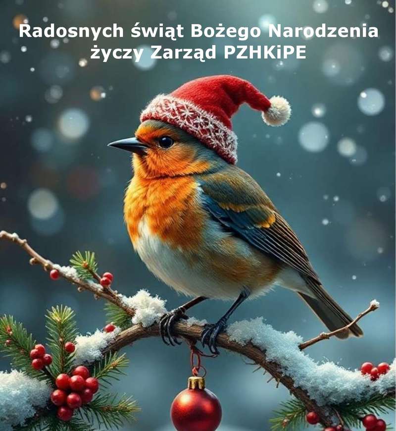 Boże Narodzenie