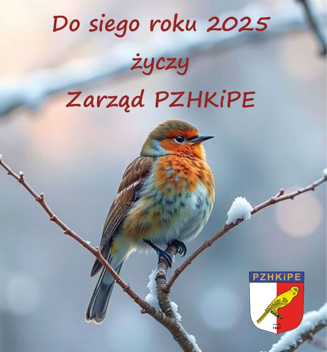 Nowy Rok 2025