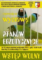 plakat