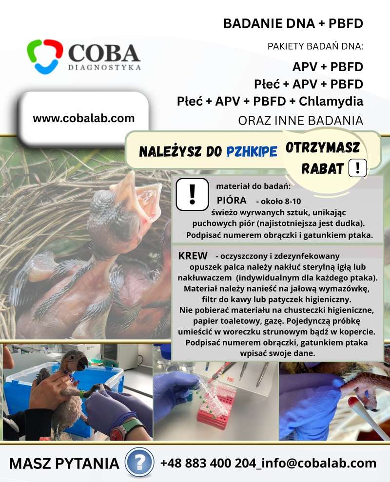 Laboratorium Coba Diagnostyka