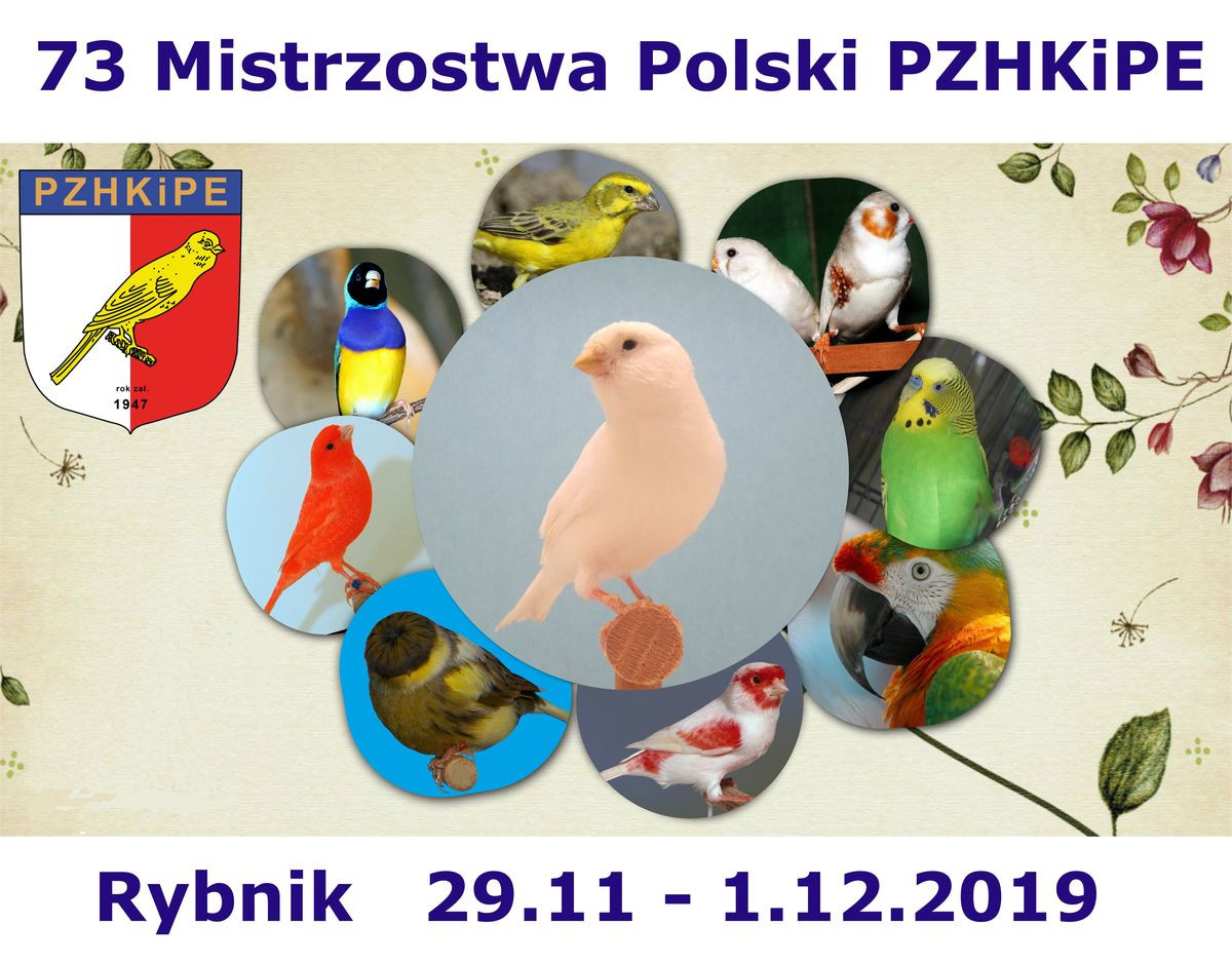 Mistrzostwa Polski PZHKiPE 2019 zwiastun