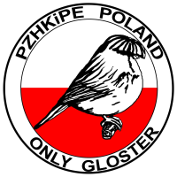 Logo Sekcji "Tylko Glostery"
